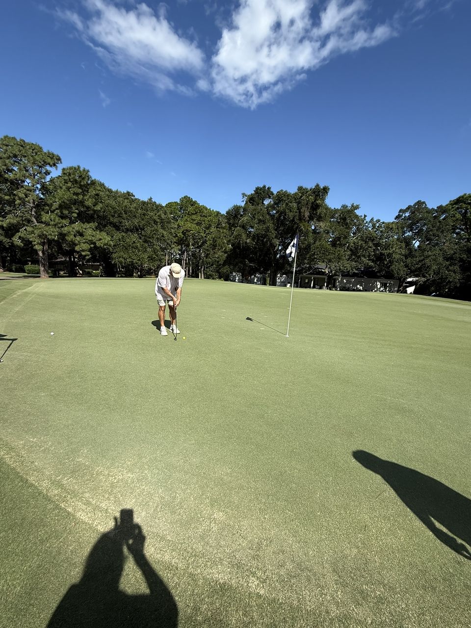 A golfer putts on a sunny green.
