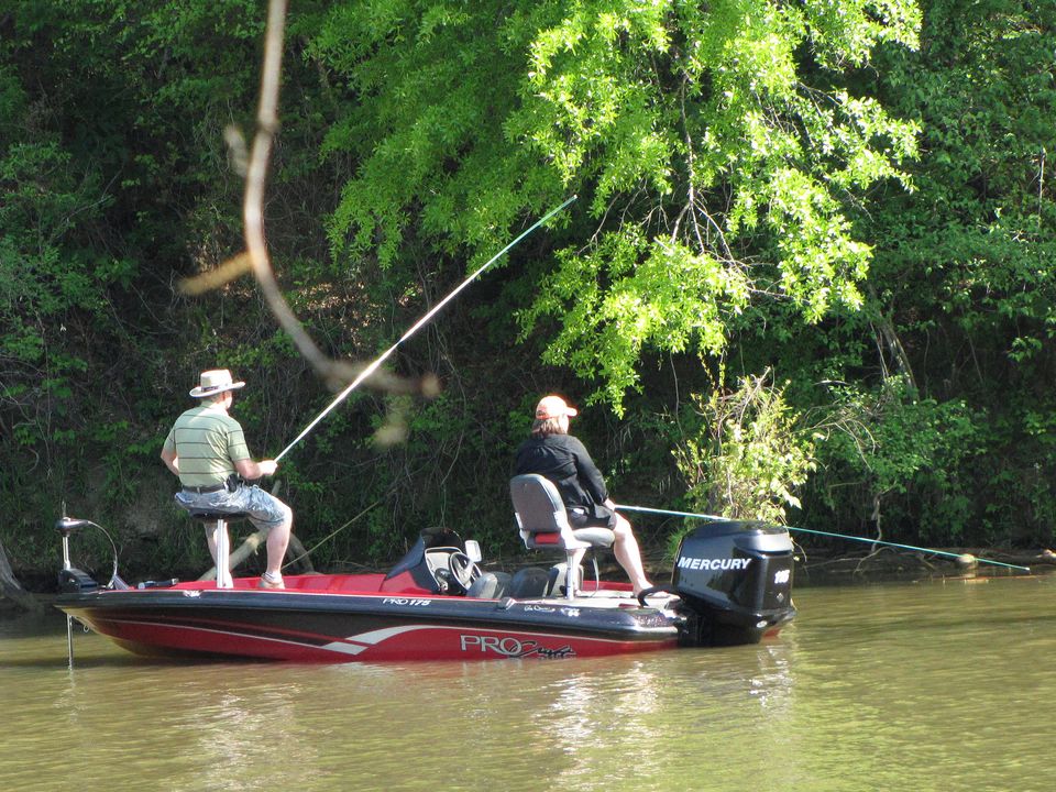 Two anglers cast from a bass boat along a wooded, shaded bank.